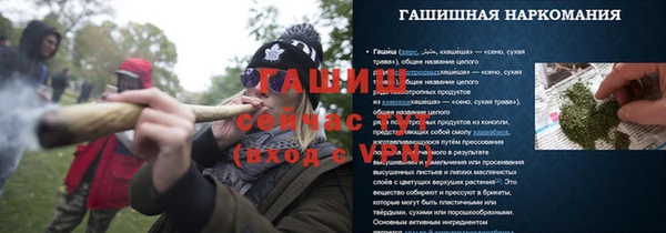 стаф Новокубанск
