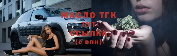 стаф Новокубанск