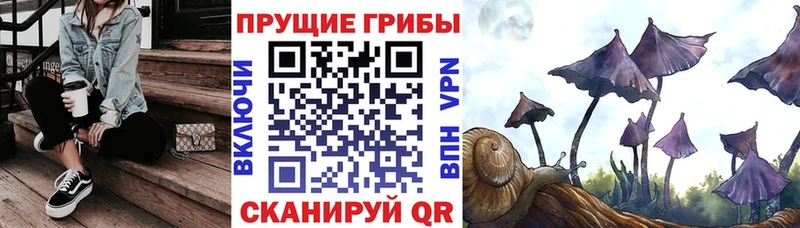 Псилоцибиновые грибы GOLDEN TEACHER  как найти   МЕГА зеркало  Кашира 