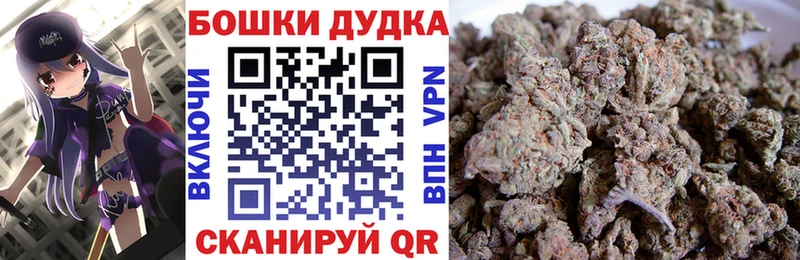Канабис план  Кашира 